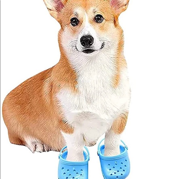 Dog crocs - Picture 3 of 3